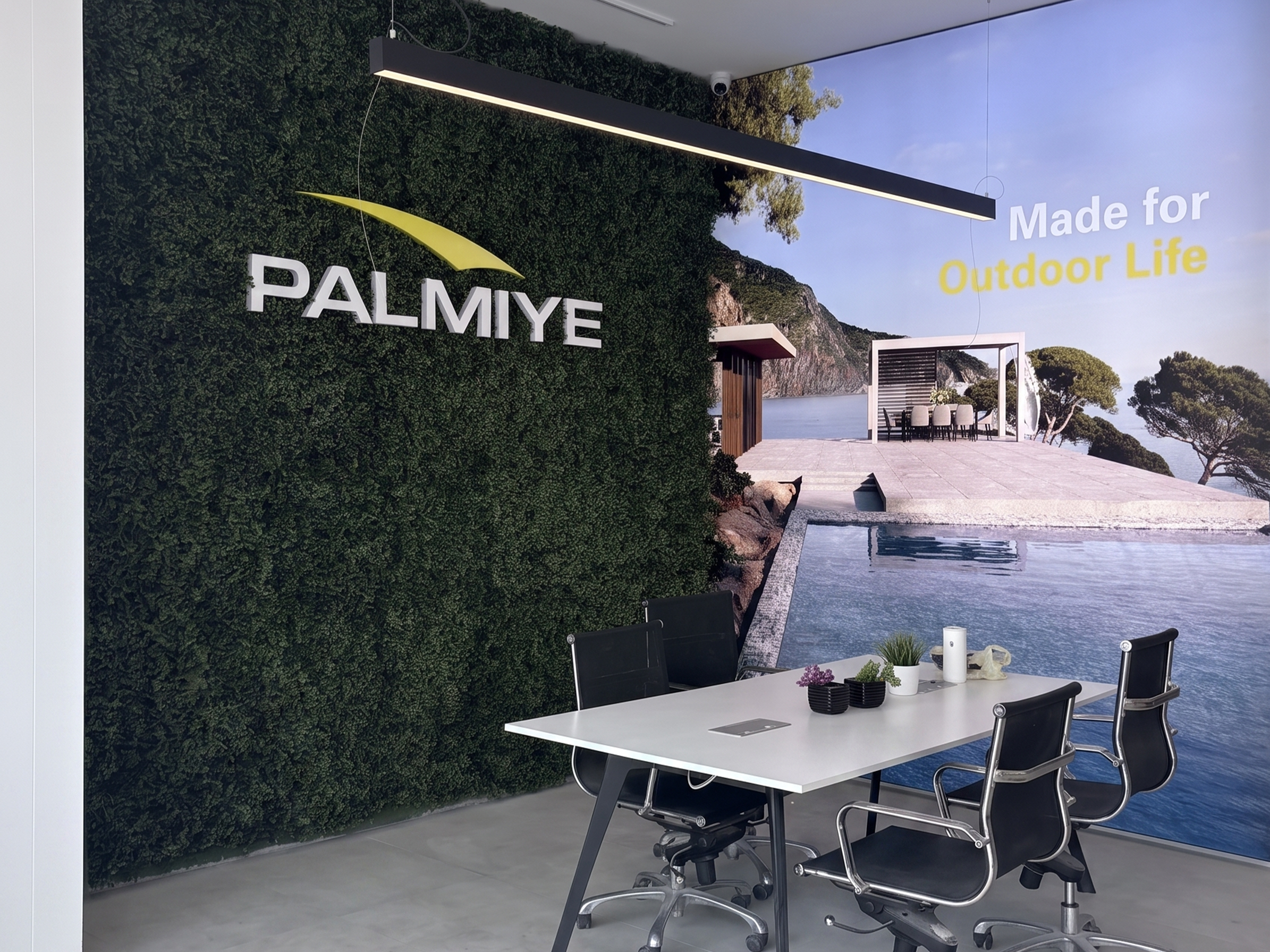 Palmiye : İstanbul / Türkiye
